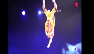 Le spectacle “Ovo” du Cirque du Soleil présenté au Zénith de Toulouse du 7 au 10 décembre