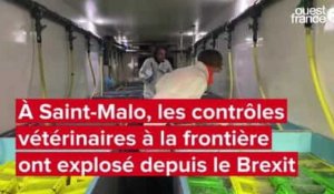 VIDÉO. Depuis le Brexit, 30 fois plus de contrôles vétérinaires et phytosanitaires à Saint-Malo