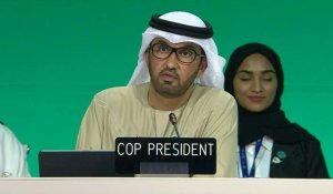 Le président de la COP28 appelle les pays à trouver un "terrain d'entente"