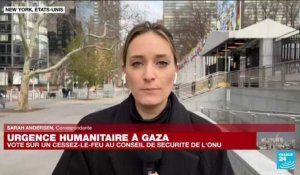 Gaza : vote sur un cessez-le-feu au conseil de sécurité de l'ONU