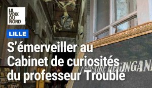 Lille et la métro : le lieu insolite du vendredi , le cabinet de curiosités du professeur Troublé à la gare Saint Sauveur