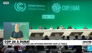 "À la COP28, on attend un souffle politique pour s’attaquer à la question des énergies fossiles"