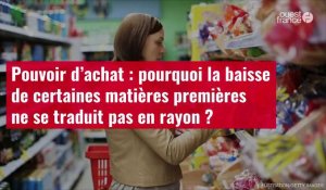 VIDÉO. Pouvoir d’achat : pourquoi la baisse de certaines matières premières ne baisse pas en rayon ?