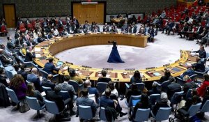 "Cessez-le-feu" à Gaza: véto américain à une résolution du Conseil de sécurité de l'ONU