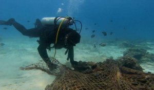 VIDEO. Des plongeurs bénévoles, sentinelles du récif corallien d'Oman tentent de sauver les coraux
