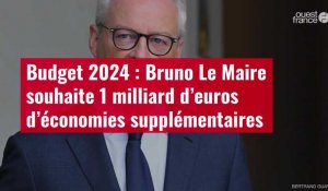 VIDÉO. Budget 2024 : Bruno Le Maire souhaite 1 milliard d’euros d’économies supplémentaires