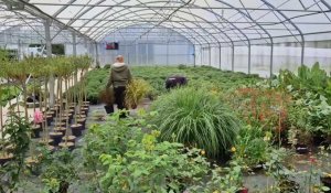 Chez un horticulteur cauchois