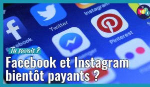 [TU SAVAIS ?] Facebook et Instagram seront bientôt payants