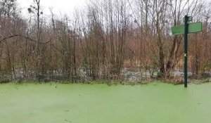 La commune de La Calotterie subit encore les inondations.