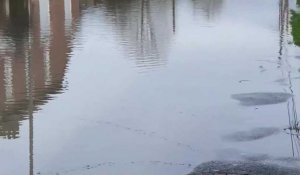 Inondations : à Merville, l'eau monte parfois jusqu'à près d'un mètre à certains endroits.