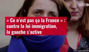 VIDÉO. « Ce n’est pas ça la France » : contre la loi immigration, la gauche s’active