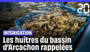Bassin d'Arcachon : Les huîtres interdites à la vente après des intoxications