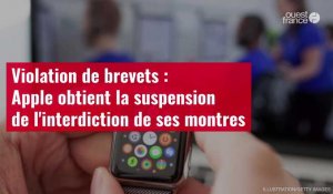 VIDÉO. Violation de brevets : Apple obtient la suspension de l'interdiction de ses montres
