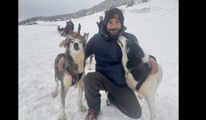 Annecy : immersion en chiens de traîneau au plateau des Glières
