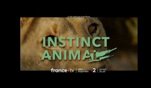 [Bande annonce] Instinct animal avec Gil Alma
