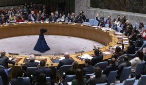 Gaza: le Conseil de sécurité de l'ONU "exige" une aide humanitaire "à grande échelle"