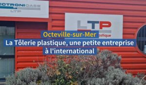 La Tôlerie Plastique, une success story d'Octeville-sur-Mer à l'international
