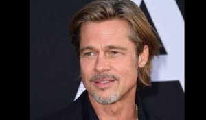 Brad Pitt : son CV capillaire !