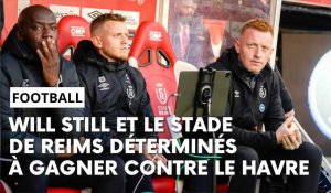 Stade de Reims - Le Havre : l’avant-match avec Will Still