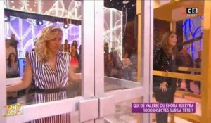 TPMP la 1000e : Enora Malagré et Valérie Benaïm en panique face à des insectes (Vidéo)