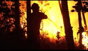 Portugal: un violent feu de forêt fait au moins 43 morts