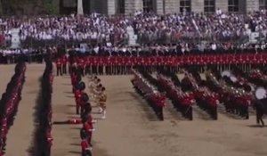 Sous la chaleur, plusieurs gardes de la reine d'Angleterre s'évanouissent en pleine cérémonie 
