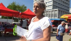 Législatives: Hélène Hardy, première candidate transgenre