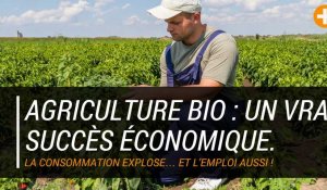 Agriculture bio : un vrai succès économique.