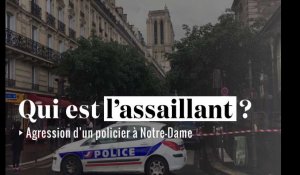 Qui est Farid I., l'agresseur du policier à Notre-Dame de Paris ?