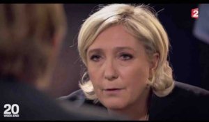 Marine Le Pen se défend d'être "une héritière" - ZAPPING PRESIDENTIELLE