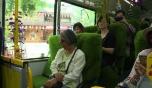 Taïwan: un bus "forêt" séduit les passagers de Taipei