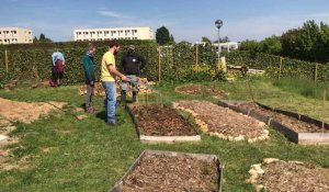 Des fous fleuristes cultivent leur jardin sur le campus 