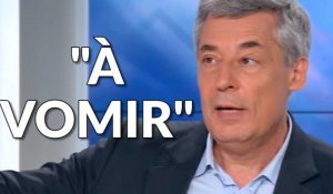 Guaino: "L'électorat qui a voté dans ma circonscription est à vomir"