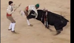 Un torero se fait violemment encorner pendant une corrida (Vidéo)