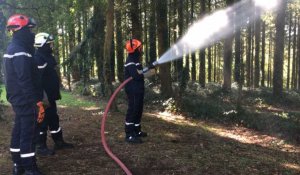 Manœuvre interdépartementale des sapeurs-pompiers à Brocéliande 