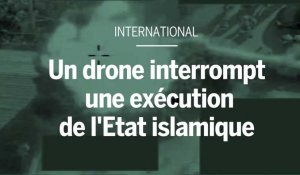 Un drone de l'armée britannique interrompt une exécution de l'EI en Syrie