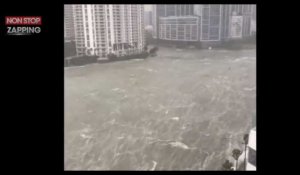 Ouragan Irma : Miami sous les eaux, les images chocs (vidéo)