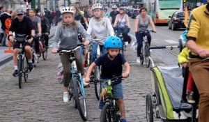 Journée sans voiture: piétons, cyclistes et cavaliers prennent possession de Bruxelles