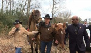 USA: Roy Moore arrive à cheval pour voter en Alabama