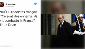Djihadistes français: Ceux qui sont «prisonniers en Irak» seront jugés en Irak, affirme Le Drian.