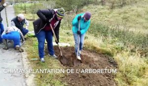 Chimay: l'arboretum est planté le long du RAVeL