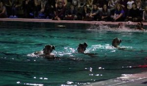 natation synchronisée gala swim and dance à Tournai 3