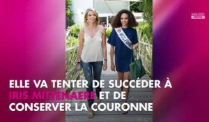 Miss Univers 2017 : Alicia Aylies dévoile un étonnant costume national (vidéo)