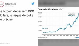 Le bitcoin bondit au-dessus de 11 000 dollars, risque de bulle
