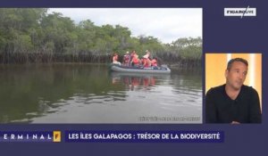 L'archipel des Galapagos menacé par le réchauffement climatique