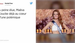 Miss France 2018 : L'expression « crinière de lionne » choquent les internautes ! 