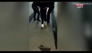 Ivre, une femme est traînée hors d'un avion par la police après avoir frappé une hôtesse de l'air (vidéo)