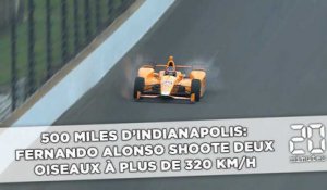 500 miles d'Indianapolis: Fernando Alonso shoote deux oiseaux à plus de 320km/h!