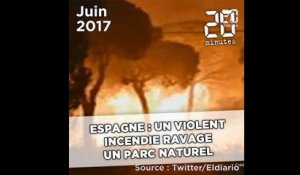 Espagne : Un violent incendie ravage un parc naturel