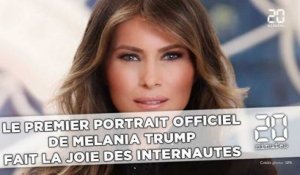 Le premier portrait officiel de Melania Trump fait la joie des internautes